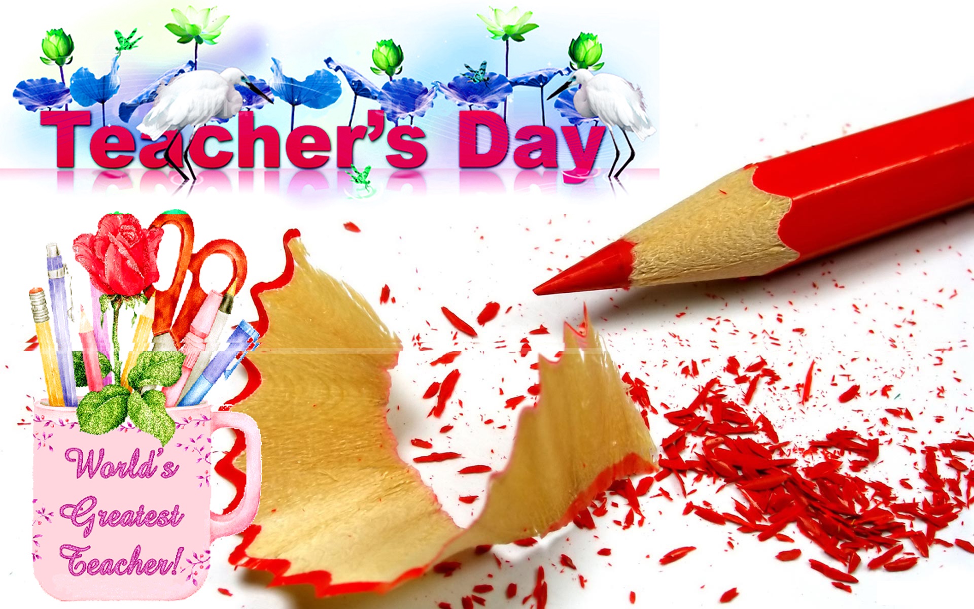 Teacher's Day 2023 Wallpapers