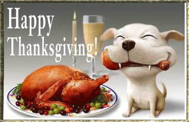 Thanksgiving Day GIF for Whatsapp