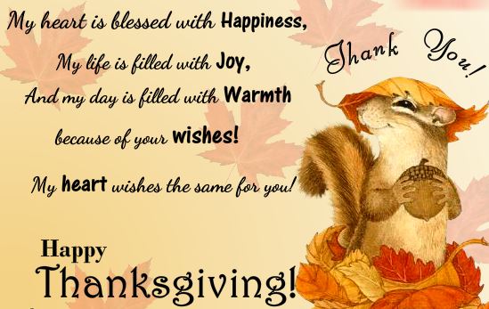Thanksgiving Day Thank You Greeting Card 
