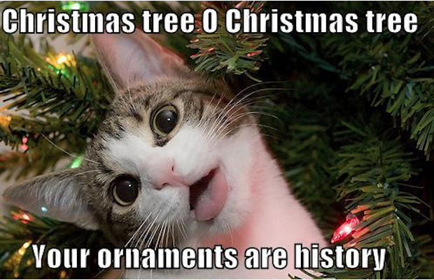 Christmas Tree O Christmas Tree Your Ornaments Are History Funny Christmas Memes 2023