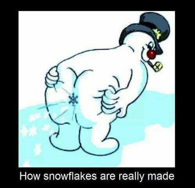 How Snowflakes Are Really Made Merry Xmas 2022 Funny Memes