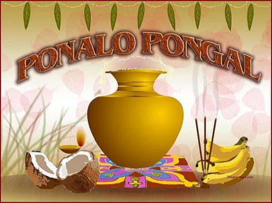 Happy Pongal 2024 Greetings, Quotes & Slogans in Tamil, English & Telugu