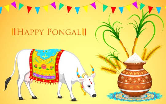 Happy Pongal 2023 Shayari in Tamil, Telugu, Marathi, English, Malayalam & Hindi fonts