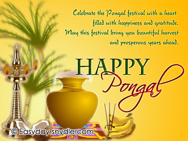 Happy Pongal 2024 Wishes in Tamil, Telugu, Marathi, Hindi, Malayalam & English