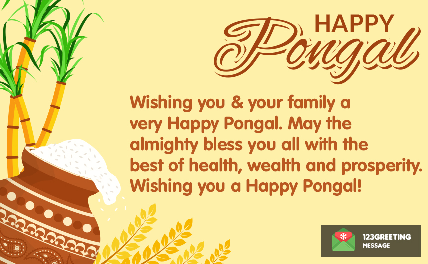 Happy Pongal 2023 Shayari