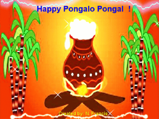 Happy Pongal GIF for FB