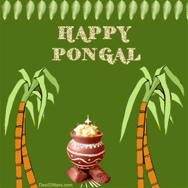 Happy Pongal GIF for Whatsapp