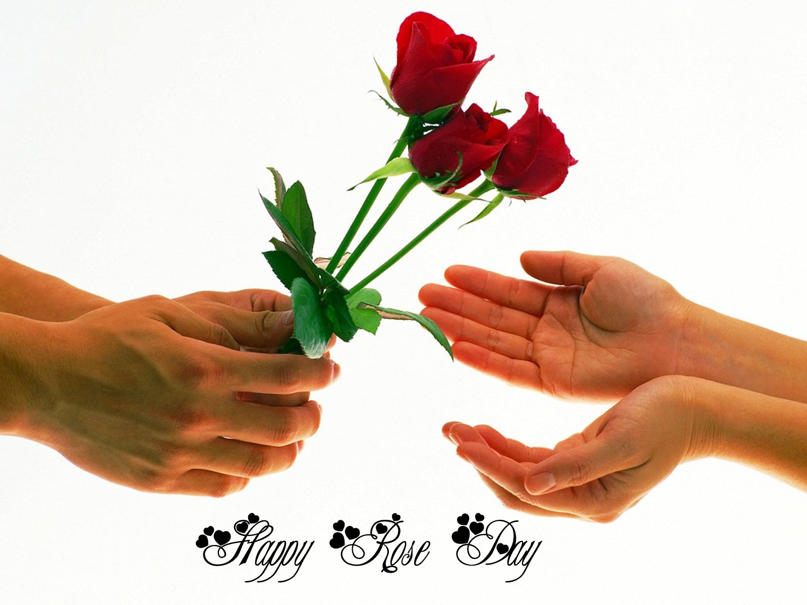 Rose Day DP for GF & BF