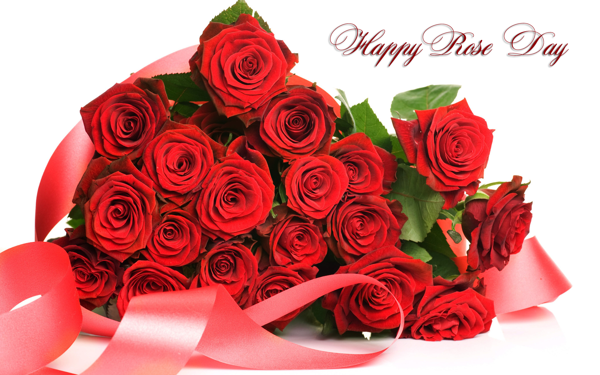 Rose Day HD Images