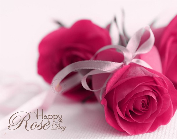 Rose Day HD Pics 2024