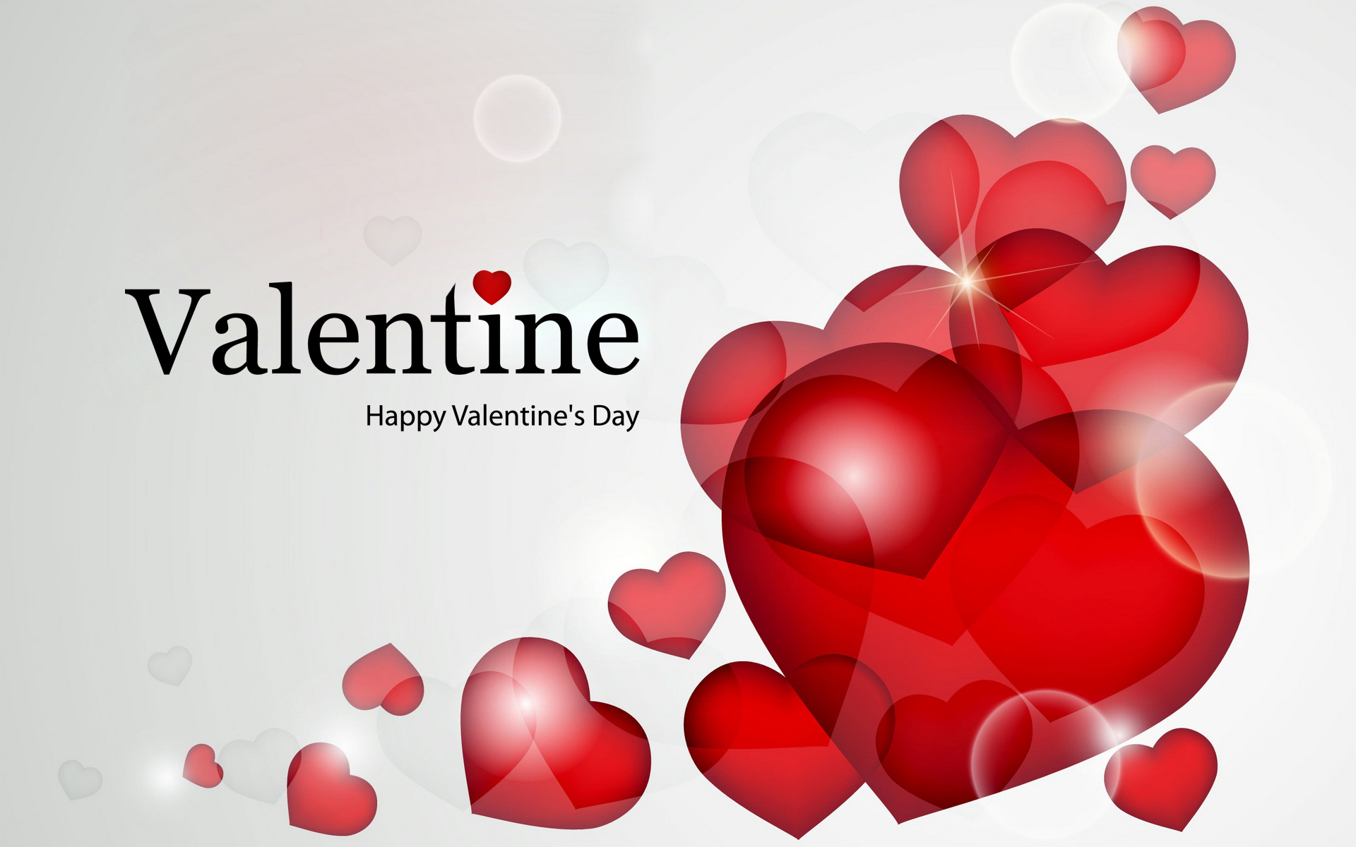Valentines Day 2023 HD Wallpapers