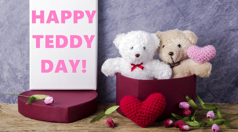 Teddy Day 2023 Status for Whatsapp & Facebook