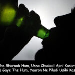 The Fun of Sharabi Shayari in Hindi
