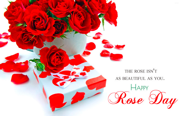 Happy Rose Day 2024 Greetings