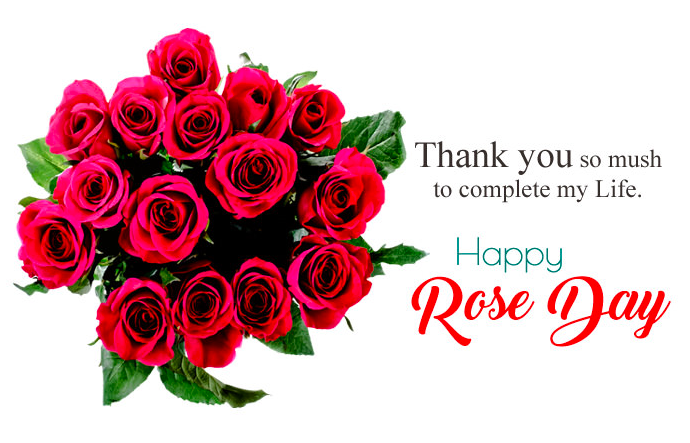 Happy Rose Day 2024 Wishes