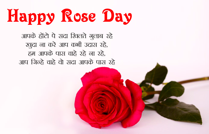 Rose Day 2023 Images