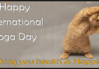 International Yoga Day GIF