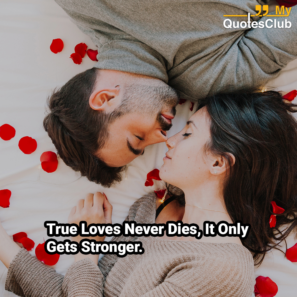 Top 100+ Best Romantic Whatsapp DP for Couple, Girlfriend ...