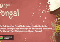 Happy Pongal Wishes & Quotes