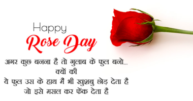 Happy Rose Day Status