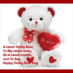 Happy Teddy Day Status