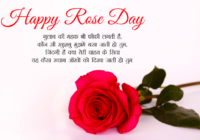 Rose Day Shayari & Poems