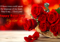 Rose Day Wishes & Messages