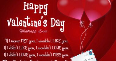 Valentines Day Status, Whatsapp Video Status