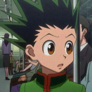 Best Famous Gon And Killua Matching PFP