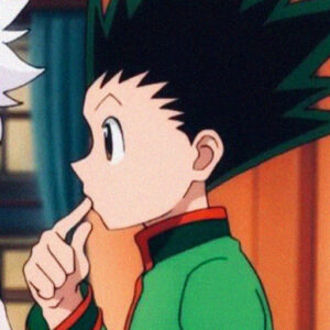 Free Gon And Killua Matching PFP