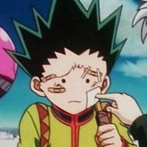 How To Download Gon And Killua Matching PFP