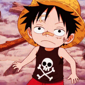 One Piece Monkey PFP For Profile