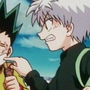 Top Popular Gon And Killua Matching PFP